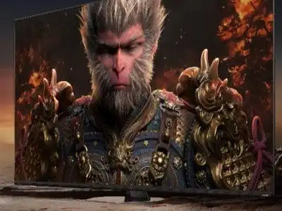 电视厂商动态电视
