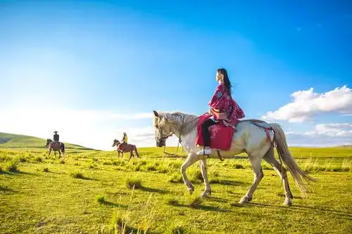 百名网红打卡锡林郭勒,辽阔草原等你来嗨
