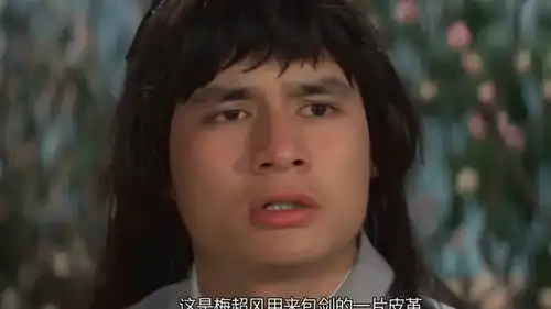 射雕英雄传周伯通发现郭靖带着的皮革,原来是九阴真经的另一半