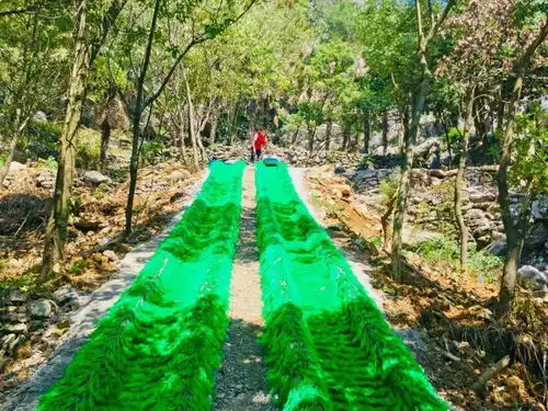 还有2天免费送天空之城门票