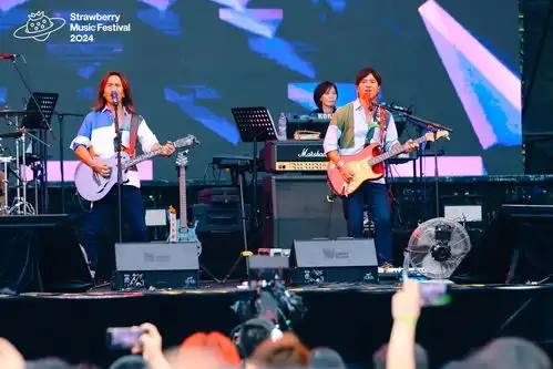 石家庄草莓音乐节摇滚之城的心跳与共鸣
