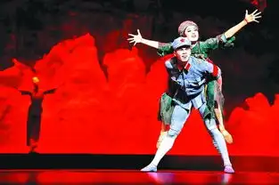 芭蕾舞剧闪闪的红星在石家庄上演
