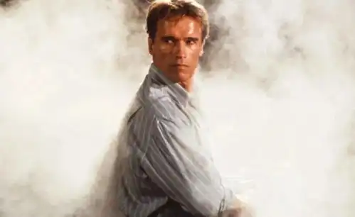 好莱坞传统电影类型分为哪几类
