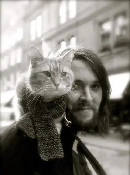 你看过电影流浪猫鲍勃吗今天鲍勃猫去世了