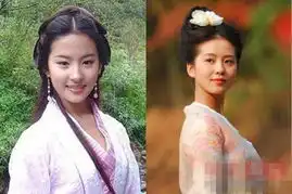 赵丽颖刘诗诗郑爽杨幂周冬雨细数小花旦成名史