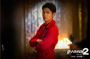 唐人街探案2王宝强刘昊然肖央过招10国神探