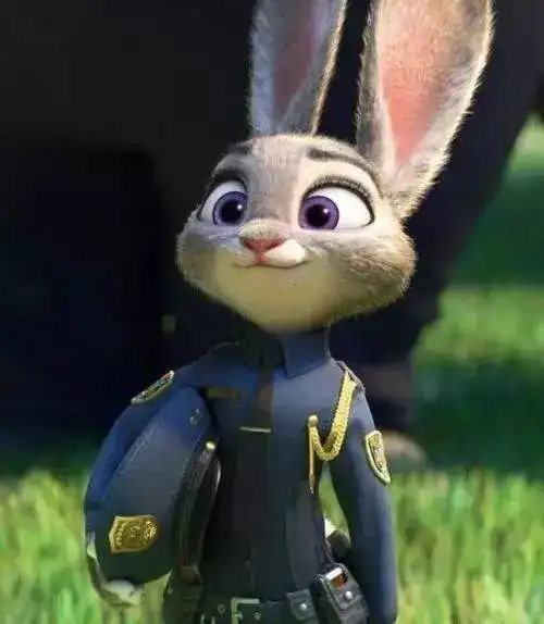 快来不及了,快上车老司机的fashion你懂不懂
