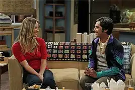 生活大爆炸第五季第一集回归剧情简介剧照预览