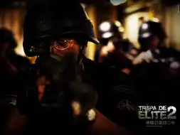 精英部队2
