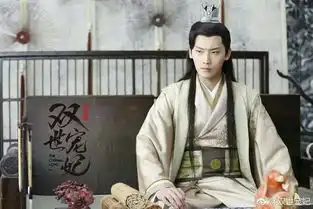 双世宠妃1剧照王爷