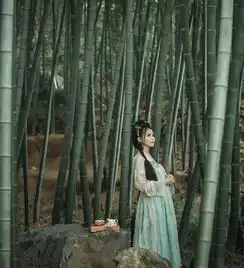 古装可爱的小姐姐,貌若天仙,窈窕淑女