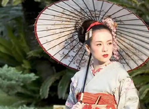 2004年,章子怡拍艺伎回忆录,被日本嘲被国人喷被巩俐扇巴掌
