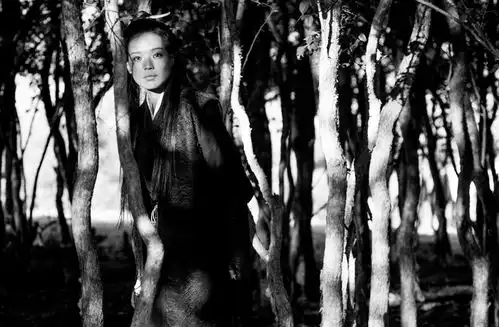 侯孝贤差点抢了陈凯歌的饭碗,就因为他