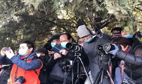 游客扎堆颐和园,争拍金光穿洞奇景,同款垃圾桶意外成网红
