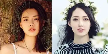 芳华女主的高级脸,撞了章子怡萧敬腾等9张明星脸