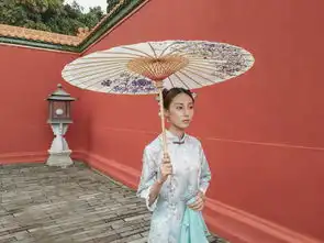 女摄影师靠美图t9手机就拍出了延禧攻略同款唯美宫廷大片
