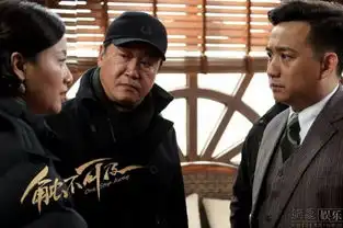 触不可及赵宝刚黄磊徐静蕾再度携手
