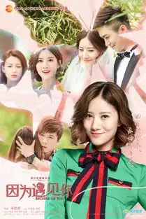 组图因为遇见你曝收官海报唯美氛围引回忆
