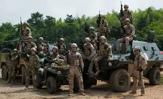 色降ii之血玫瑰剧照