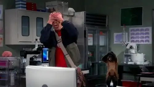 生活大爆炸第七季