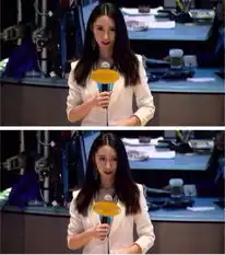 新浪最美女记者走红神似佟丽娅和泷泽萝拉
