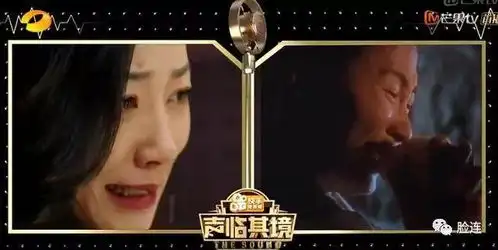 韩雪大器晚成,活该她这个时候瞬间爆红
