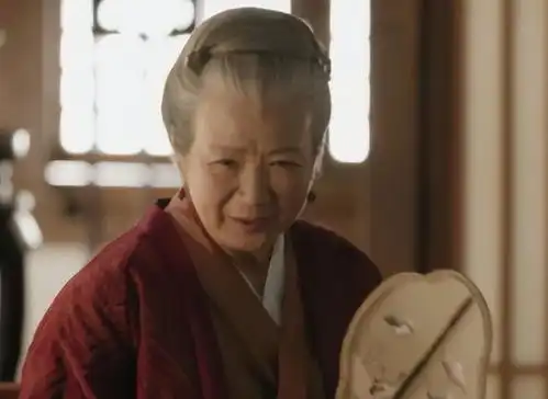 知否原著,盛老太太的心结,是长柏打开的祖母你还有我