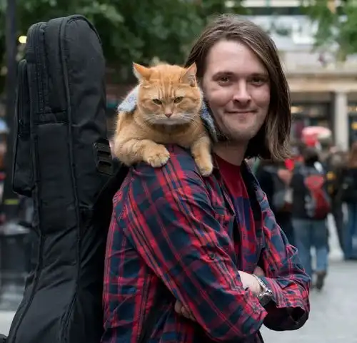 流浪猫鲍勃突然去世,14年喵生今朝已完,改变一个人,感动无数人