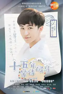 十五年等待候鸟曝青春箴言版海报