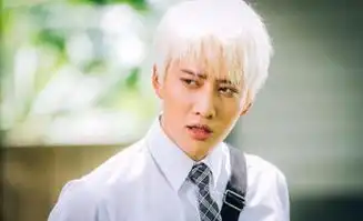 求一吻定情泰国版百度云链接