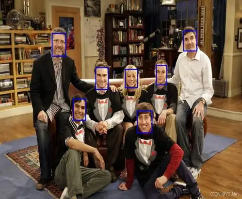 emgucv学习笔记vb.net11.8人脸检测
