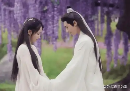 润玉至死不知,锦觅那么爱灵力,为何却从来不向他这个未婚夫要
