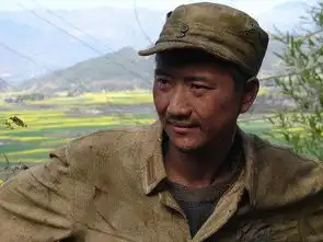 我的团长我的团剧照
