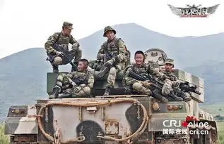 战狼影评爱国的本性流露
