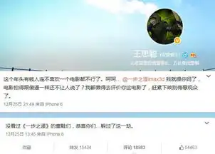 王思聪三枪拍片,送一步之遥最后一程
