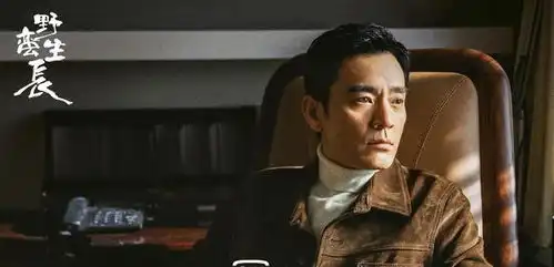 赵丽颖野蛮生长或更名上线制作精良,阵容雄厚,有爆款潜质