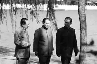 有名有姓的人物有500多