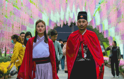 满城尽带黄金甲,赏菊何须去开封金秋赏菊好去处,南阳月季博览园内含福利门票的领取攻略
