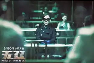 无双史上涉案金额最大的犯罪片
