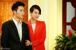 赵夕是谁演的,赵夕扮演者,红酒俏佳人赵夕