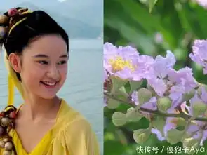 仙剑奇侠传3主角的名字都是植物,仙剑粉们,你们喜欢吗