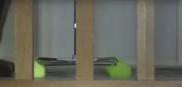 一生的爱这对爷爷奶奶扮飞屋环游记庆祝结婚60周年