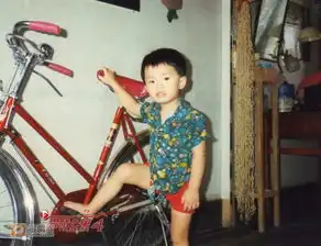 爱情公寓4主演童年照胡一菲幼时可爱呆萌