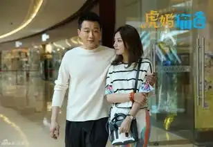 虎妈猫爸1617集剧情145全集分集剧情大结局佟大为遭初恋董洁诱惑
