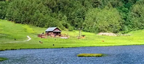 去有风的地方,寻找大理的诗意聚落