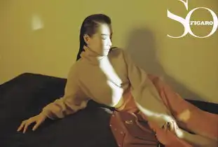 董洁封面大片写真曝光光影交错中呈现高级美人骨