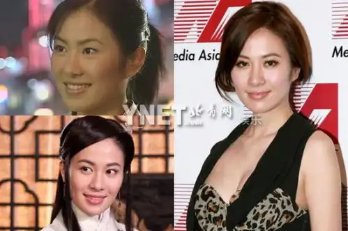 吐槽娱圈明星相貌杨幂李小璐自己瞎改装大变样