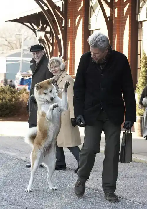 思念一个人到极致是怎样的体验看完忍不住泪目