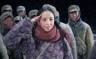 帮你解析高原红是什么