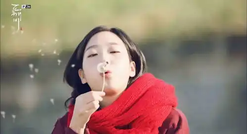 免费超梦幻巨浪漫的荞麦花海,深圳出发4小时直达128g内存都拍
